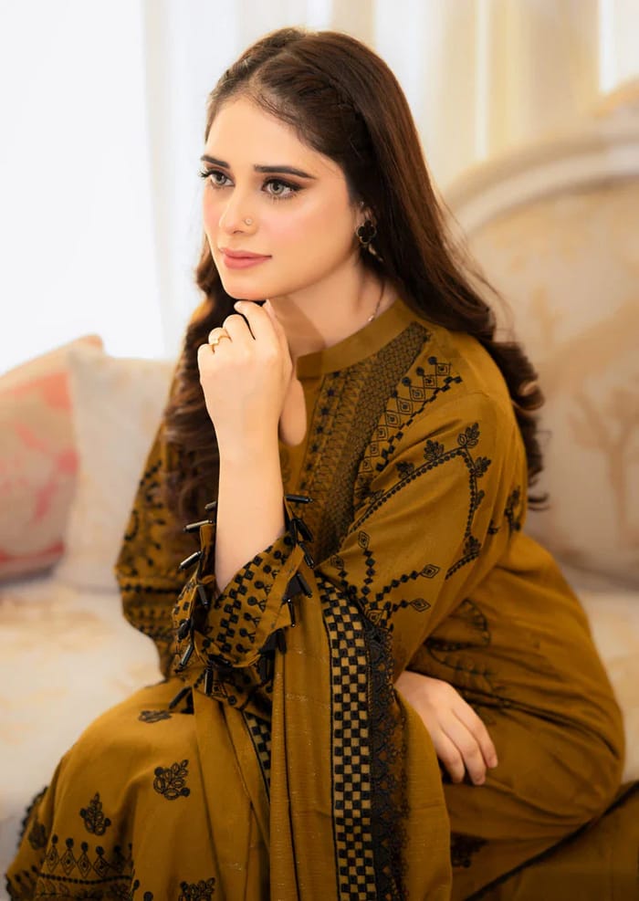 Dhanak Embroiery 3pcs